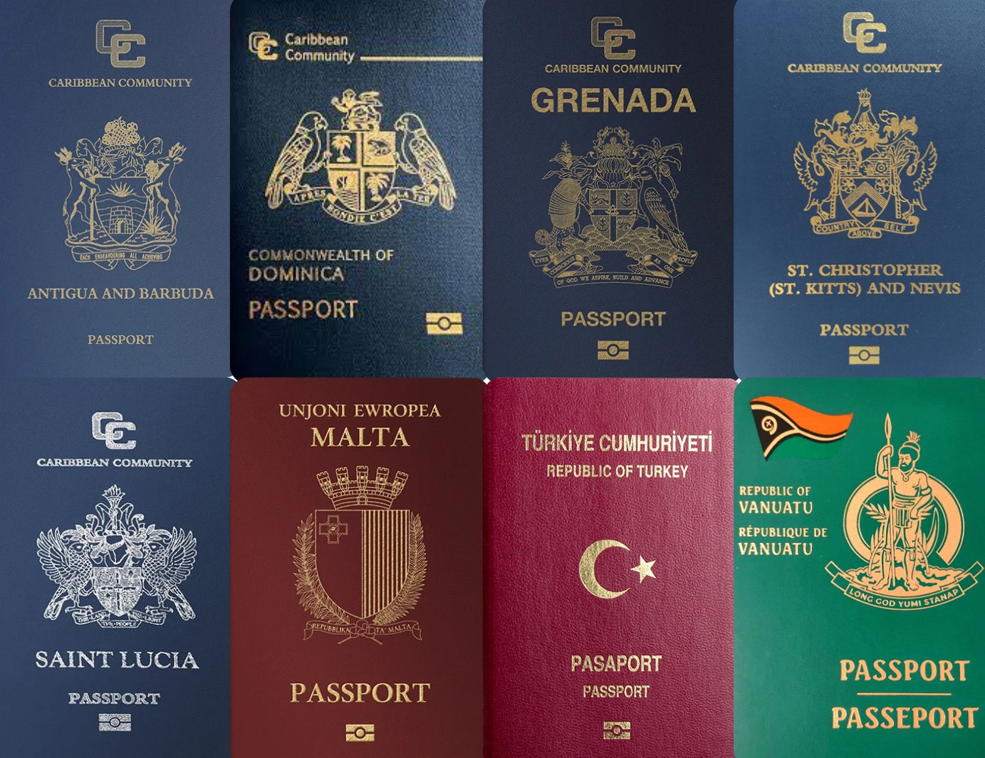 Passport of the countries offering citizenship by investment programs in 2023