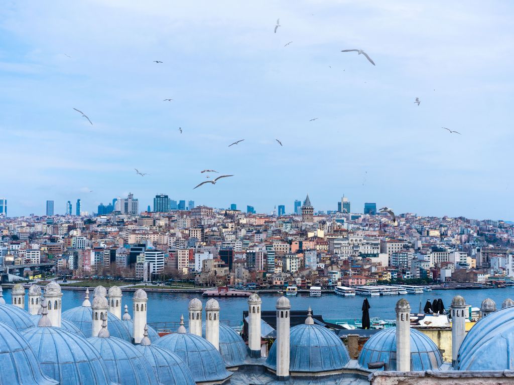 An overview of Türkiye's Citizenship by Investment Program