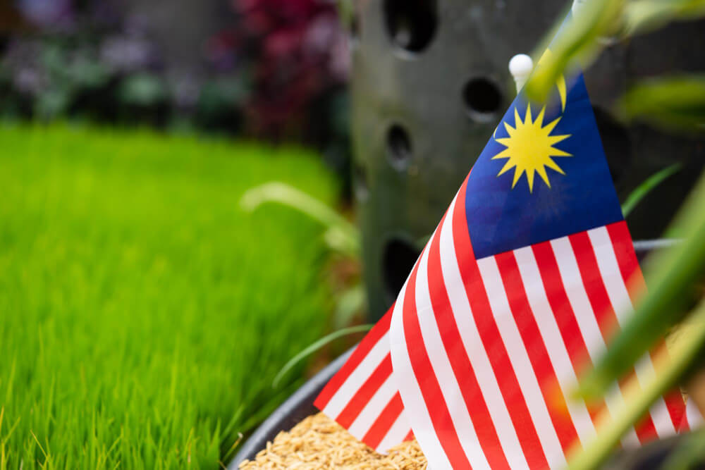 Malaysia residency programs